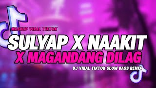 DJ SULYAP X MAGANDANG DILAG X NAAKIT X NARARAHUYO X TINOTOYO SLOW BASS MASHUP REMIX [upl. by Avehsile]