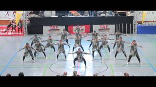 DMC  Formations Adults 2  TAF Deutsche Hip Hop Meisterschaft 2016 [upl. by Kenlay]