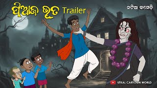 Natia Comedy  Piaja Bhuta  Trailer  Odia Horror comedy  Odia cartoon [upl. by Mickelson]