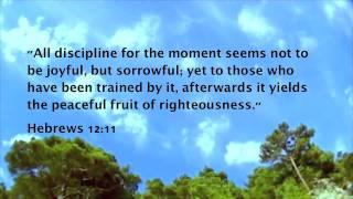 Discipline  Bible Promises Spoken [upl. by Udelle969]