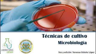 Técnicas de siembra Microbiología [upl. by Lanae]