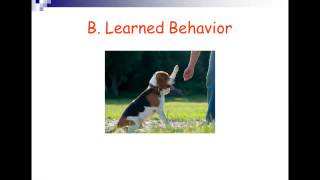 AP Biology Summer Assignment Chapter 51 Behavioral Biology [upl. by Yrrehs]