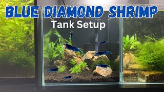 Super Simple Blue Diamond Neocaridina Shrimp Tank Setup [upl. by Joshua]