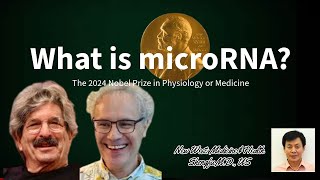 The 2024 Nobel Prize in Physiology or Medicine  What is microRNA [upl. by Nixon649]