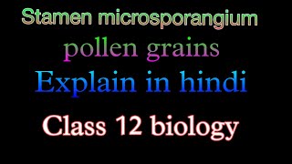 Stamen microsporangium pollen grainsClass 12 biology hindi medium [upl. by Carlstrom98]