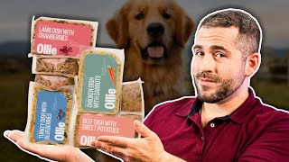 Best High Protein Dog Food [upl. by Grubman963]