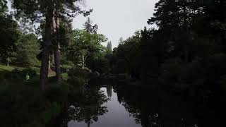 The lakes at Leonardslee Lakes amp Gardens [upl. by Nivri]