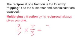 What is a Reciprocal [upl. by Anairad]