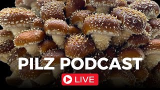 Pilz Podcast Live Folge 81 [upl. by Llerrud]