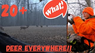 Michigan Firearm Season Opener 2022 Evening Hunt with 350 Legend Deer Everywhere [upl. by Ikram]