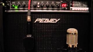 Peavey Transfex 208 Stereo with Jensen CH 835 Mod 8 Speakers the effects [upl. by Animrelliug]