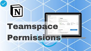 How To Set Teamspace Member Permissions In Notion [upl. by Riker]