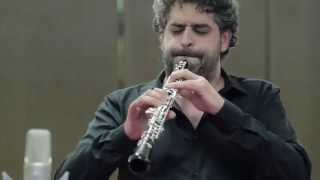 Marcello Oboe Concerto 2nd mov  Masmano [upl. by Nonnek]