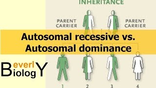 Autosomal Recessive vs Autosomal Dominance [upl. by Idnod]