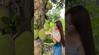 Do you want to try some Xishuangbanna jackfruits [upl. by Neliac]