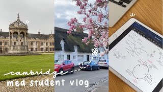 cambridge med student vlog 🌸  exams coursework grantchester end of term [upl. by Elmajian236]