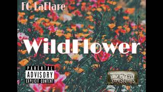 FG LaFlare  Wild Flower 🌼noisesoul Official Audio noizy [upl. by Eulalia]