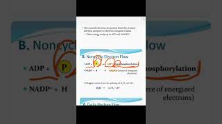 PhotosynthesislLight Reaction69lCyclic and Non cyclic Photophosphorylation ‎botanysolution4054 [upl. by Rubma]