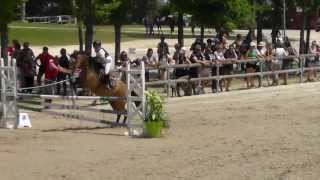 Champion CSO Poney 1 D Minime 1 et  Valentin GOURMAUX [upl. by Rhett]