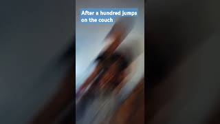 Jumping on the couch 100 jumps [upl. by Erasmo257]