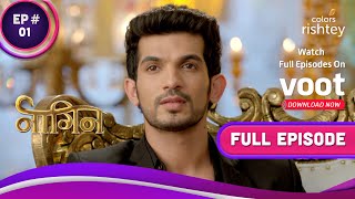 Naagin S1  नागिन S1  Ep 1  A Mysterious Woman Haunts Ritik [upl. by Jonis]