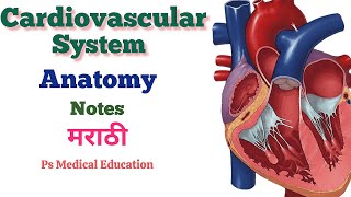 CARDIOVASCULAR SYSTEM  ANATOMY AND PHYSIOLOGY  GNM 1st YEAR  GNM NURSING CLASSES IN MARATHI [upl. by Euqinoj]