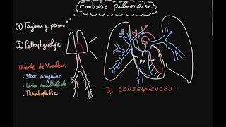 Embolie pulmonaire  CAUSES  SYMPTOMES CAT ROLE INFIRMIER [upl. by Risan]