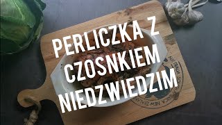 PERLICZKA Z CZOSNKIEM NIEDŹWIEDZIM [upl. by Syned]