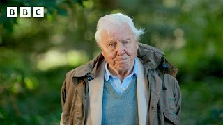 Sir David Attenborough welcomes us all to TheEarthshotPrize2023  BBC [upl. by Eolhc]