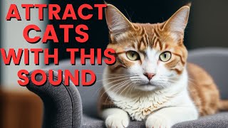 Attract Cats With These Angry Cat Sounds  Sound Effect  Slow Motion jpg [upl. by Ennaylloh724]