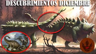 DESCUBRIMIENTOS DICIEMBRE 2022 COLA DE ANKYLOSAURIOS DE DIPLODOCIDOS Y MÁS DEL SPINOSAURUS [upl. by Adalai76]