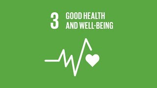 SDG3 Health amp Wellbeing [upl. by Wilmar]