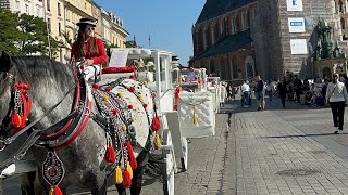 Sunday stroll in Old town Krakow Poland 🇵🇱 song by NCTDOJAEJUNG korean song fyp explore 😍 [upl. by Eenalem830]