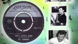 Del Shannon  Hey Little Girl [upl. by Mushro]