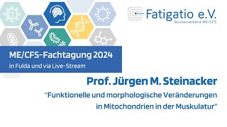 Prof Jürgen M Steinacker  Vortrag auf der MECFSFachtagung 2024 des Fatigatio eV [upl. by Toblat]