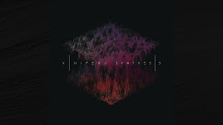 Vinifera  Synthesis EP 2021 [upl. by Gerdi]