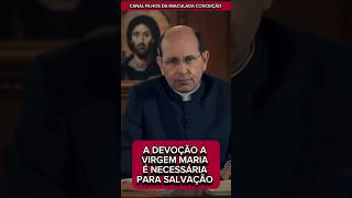 A DEVOÇÃO A VIRGEM MARIA É NECESSÁRIA PARA SALVAÇÃO  PADRE PAULO RICARDO jesus catolico maria [upl. by Gnidleif215]