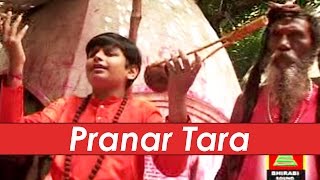 Pranar Tara  Bengali Devotional Songs 2016  Tara Maa Songs  Kali Charan Halder  Bhirabi Sound [upl. by Edme281]