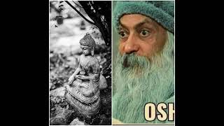 osho buddha sariputra story osho hindi speech oshoquotes [upl. by Altis38]