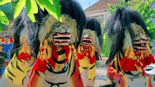 Arak arakan Barongan Waringin Seto Kumbang Joyo live Rembang [upl. by Gaulin803]