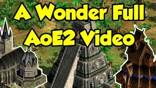 AoE2 vs History Wonders [upl. by Ursas]