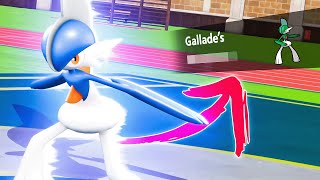 They BUFFED Gallade and now its INSANELY GOOD [upl. by Airamzul]