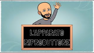 LApparato Riproduttore [upl. by Orabel]