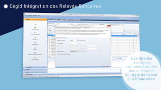 Démo Flash Cegid INTÉGRATION RELEVÉS BANCAIRES [upl. by Nyvrem269]