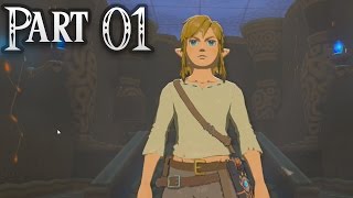 The Legend of Zelda Breath of the Wild  Part 1 Awakening [upl. by Byrn]