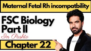 Maternal Fetal Rh Incompatability  Class 12 Biology  Chapter 22 Inheritance in pashto [upl. by Walcott]