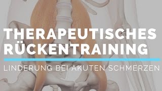 Professionelles Rückentraining gegen akute Schmerzen [upl. by Ibbison]