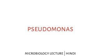 Pseudomonas aeruginosa  microbiology lecture in hindi [upl. by Annahavas]