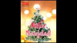 Árboles de Navidad  15 Imágenes con Movimiento [upl. by Trixi110]