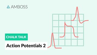 Action Potentials  Part 2 Neuronal Action Potentials [upl. by Merilee939]